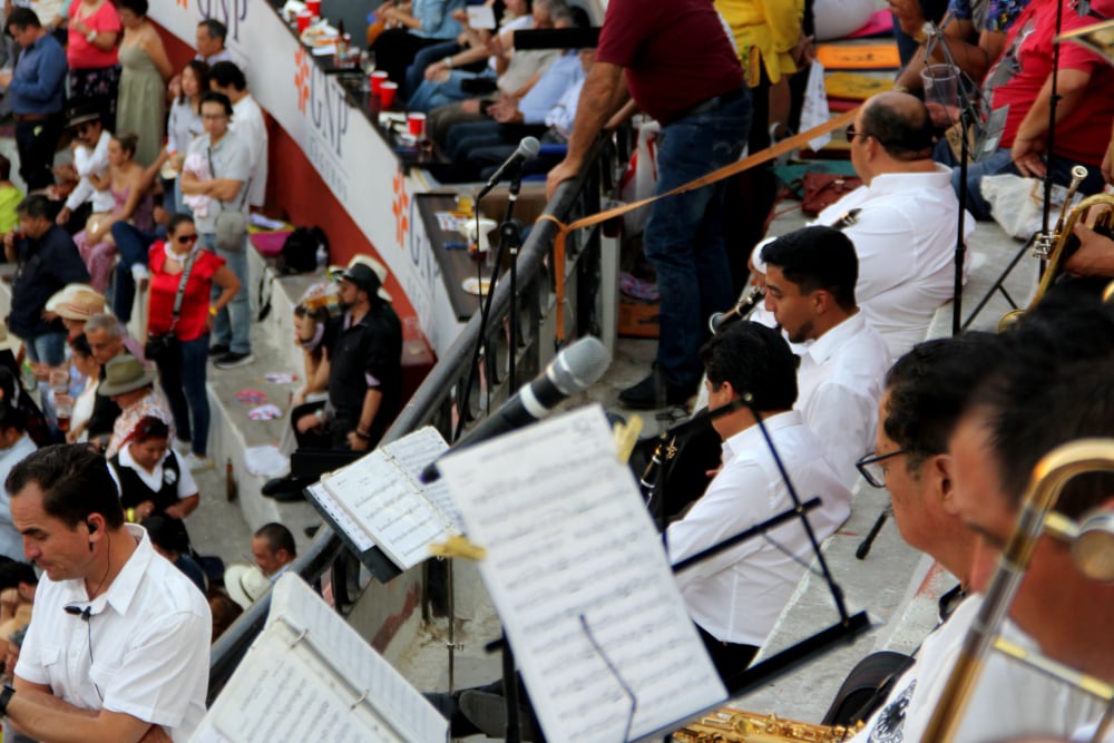 Microfoneo profesional